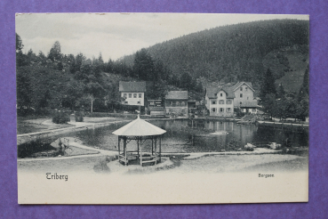 Ansichtskarte AK Triberg 1900-1910 Bergsee
